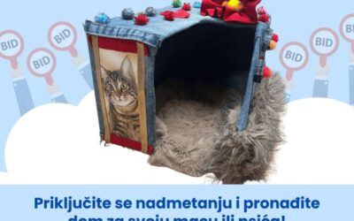 Najava prve aukcije ili javne dražbe (nadmetanja) na našoj školi