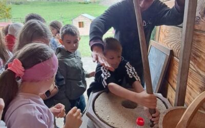 Terenska nastava na OPG-u Lukač