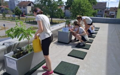 Provedene aktivnosti Cvjetna terasa i Vrijeme za mene